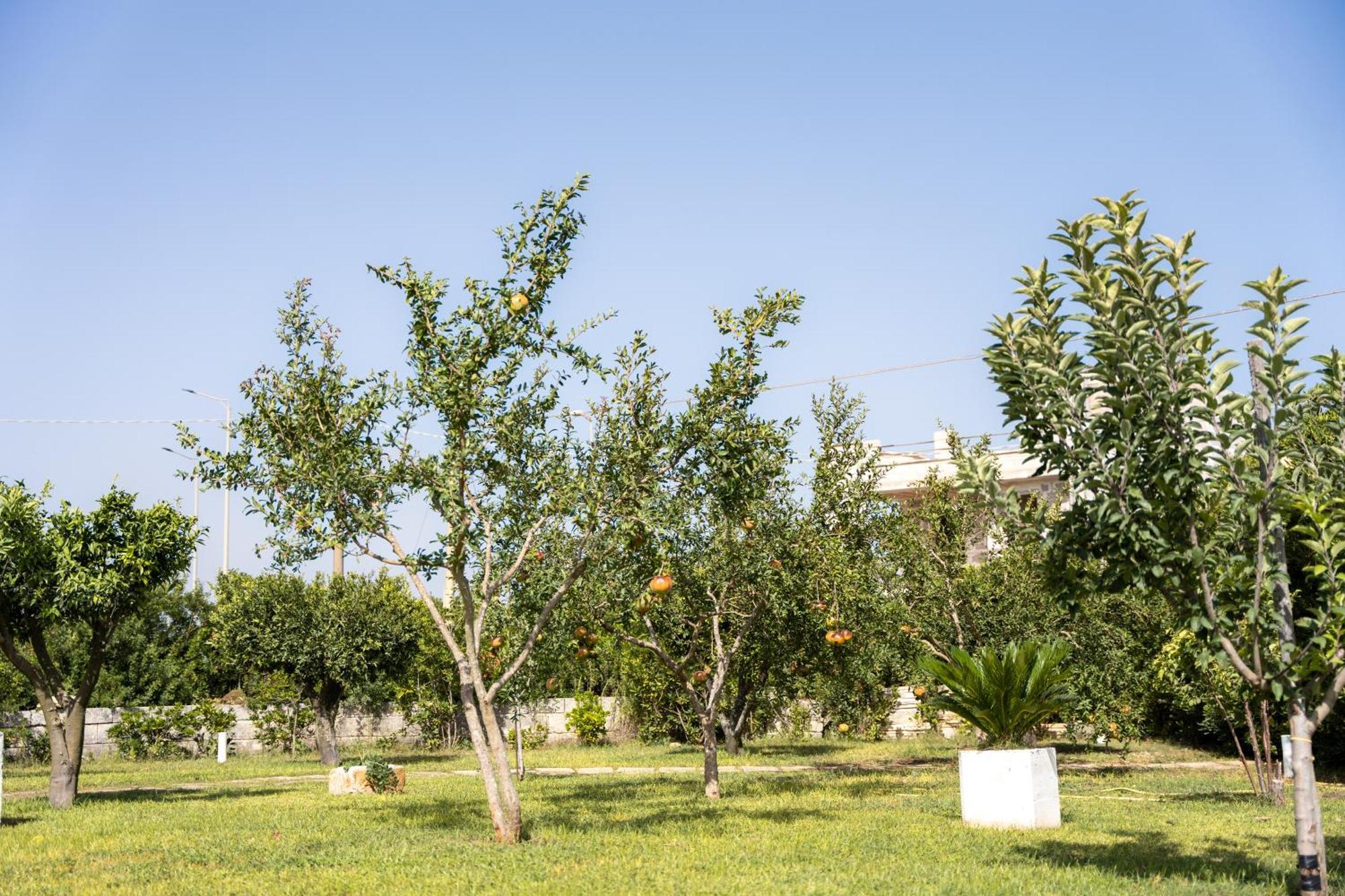 Murieri Rooms Otranto Exterior foto